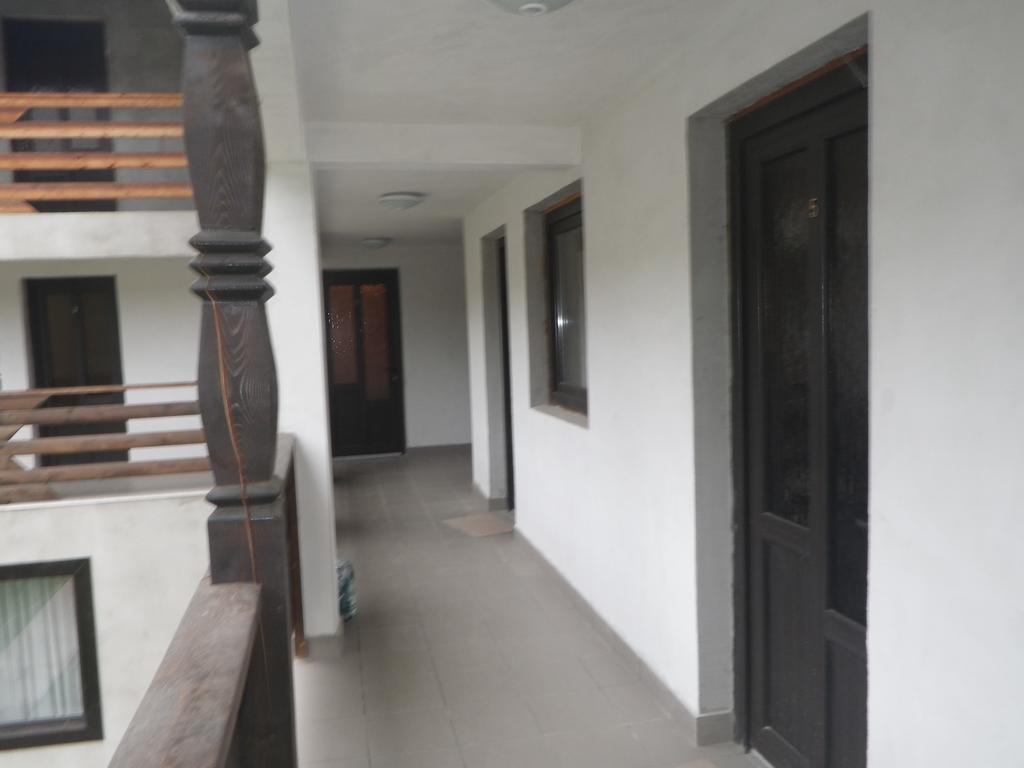 Pensiunea La Rachitele Ngoại thất bức ảnh
